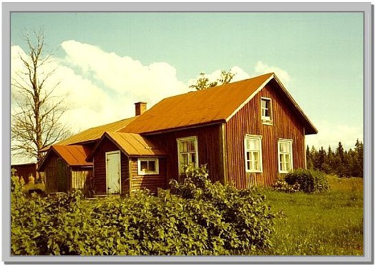 Sukevan Patam&auml;ki kes&auml;ll&auml; 1980